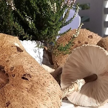 Przystan Na Zagorzu - Apartamenty Nad Jeziorem Drezdenko Exteriör bild