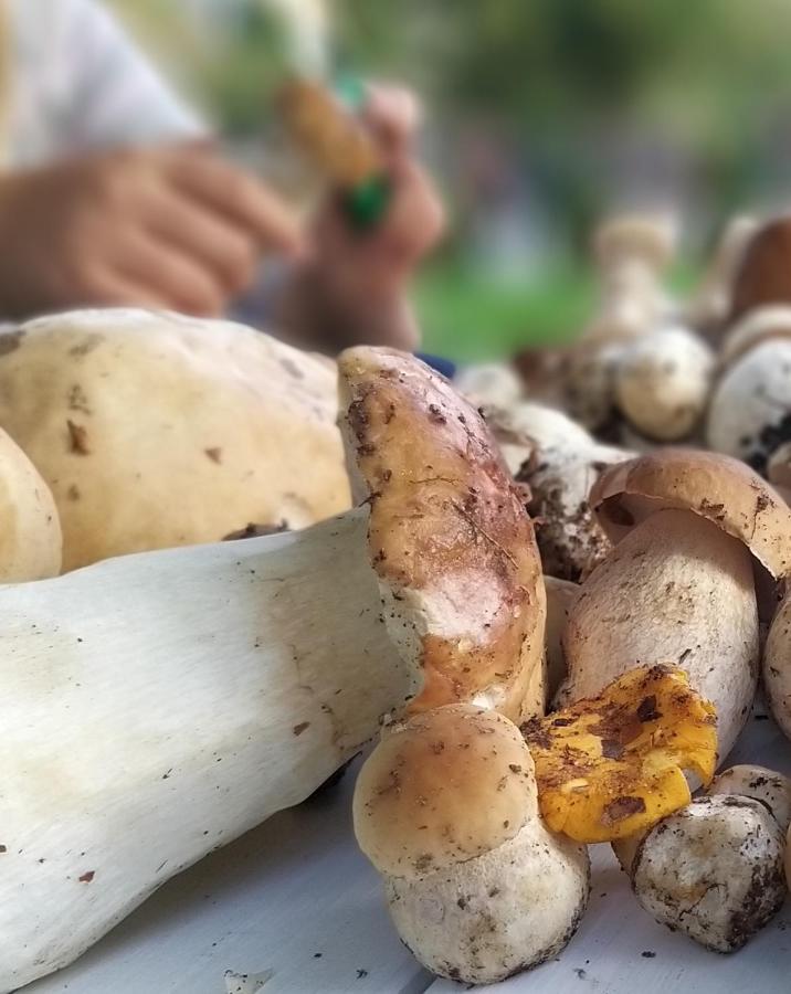 Przystan Na Zagorzu - Apartamenty Nad Jeziorem Drezdenko Exteriör bild
