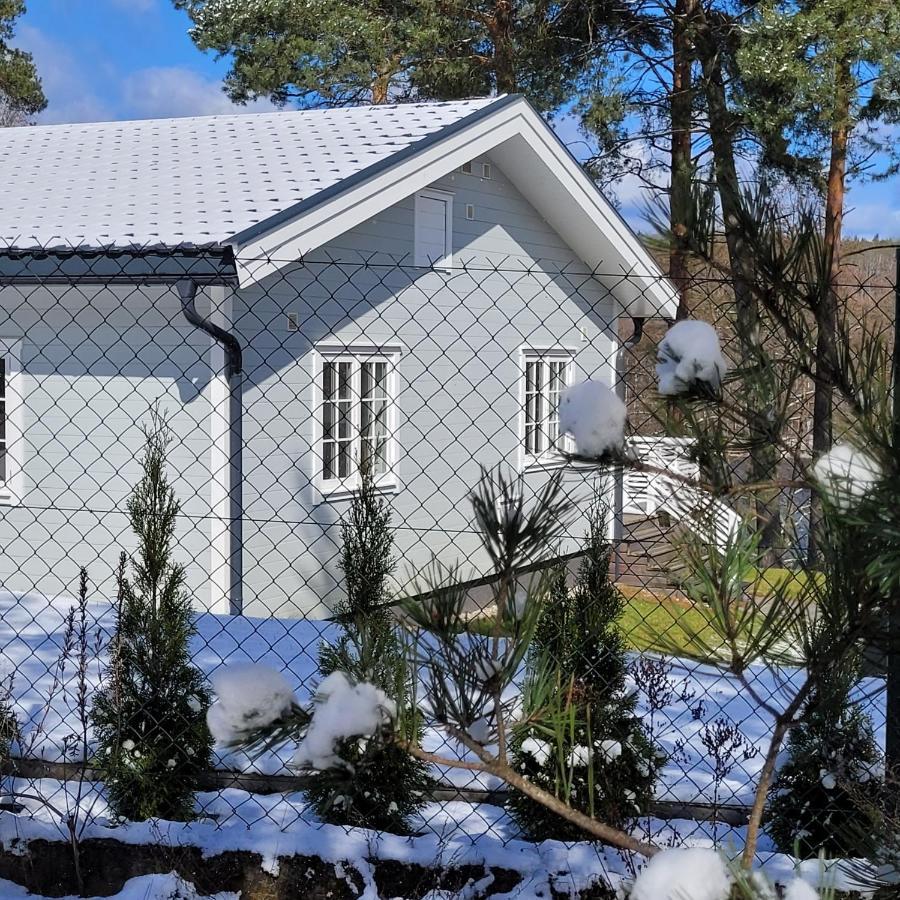 Przystan Na Zagorzu - Apartamenty Nad Jeziorem Drezdenko Exteriör bild